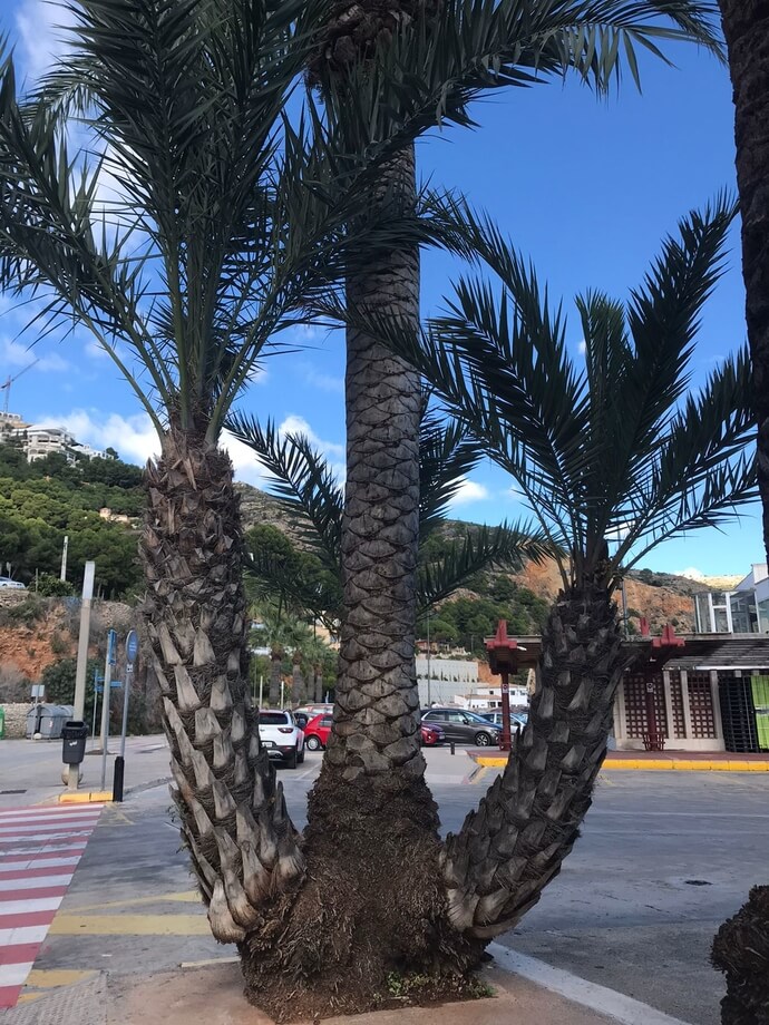 blog-11