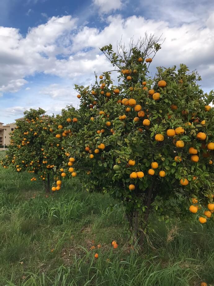 blog-3