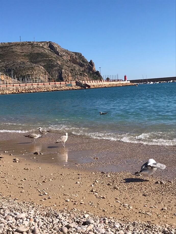 blog-4
